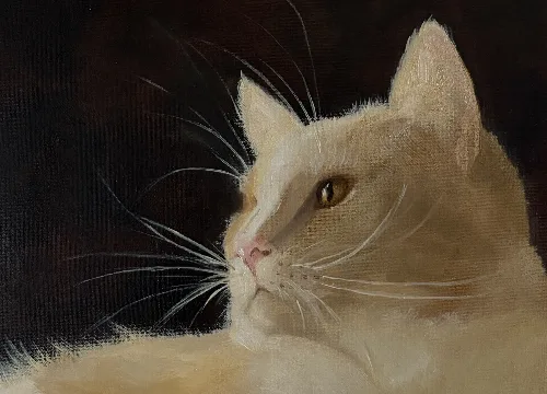 Kissanpäivät